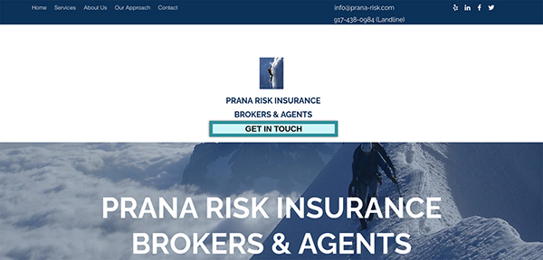 Prana Risk Insurance Services