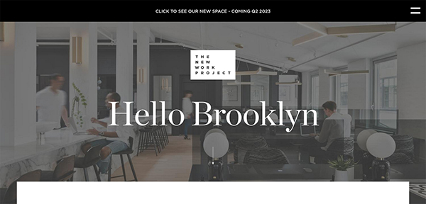 The New Work Project